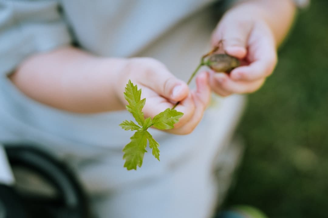 Nature & outdoor play